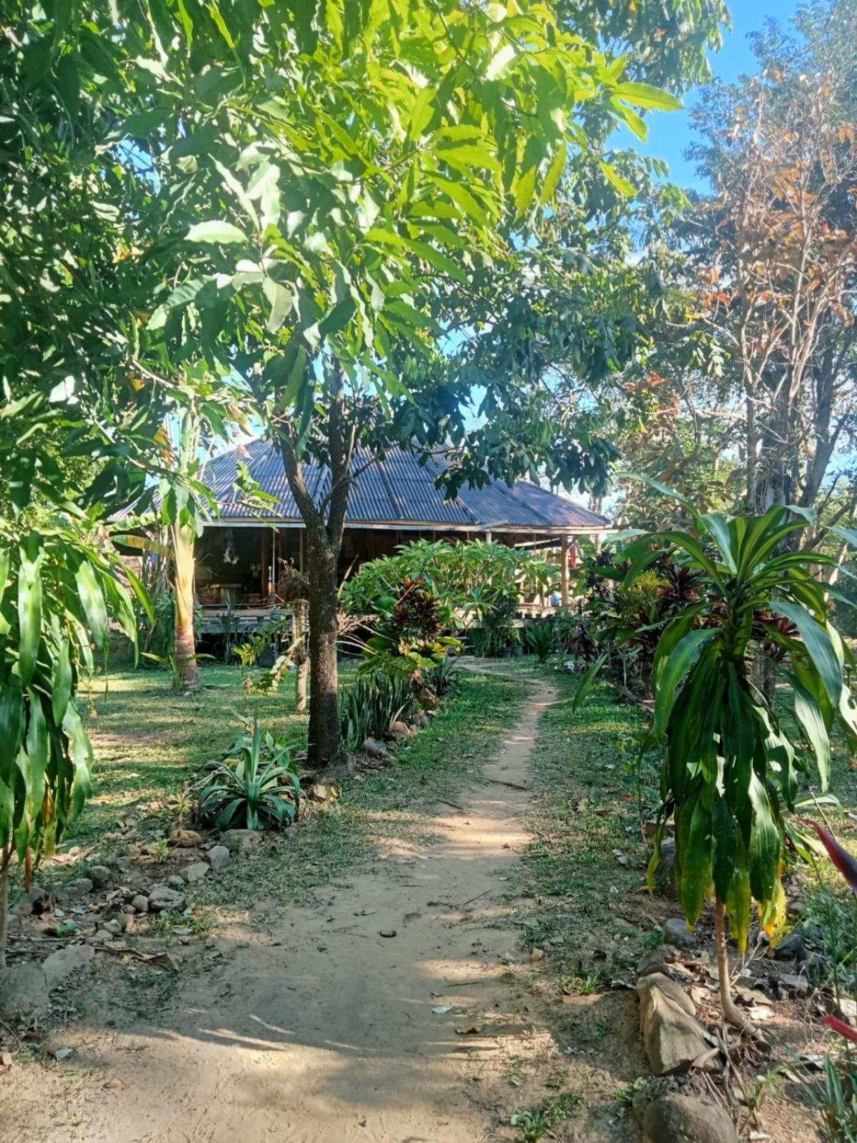 Fandee Island Treehouses & Ziplines - Tad Lo, Bolaven Loop Pakse Ban Kiangtat Exterior photo